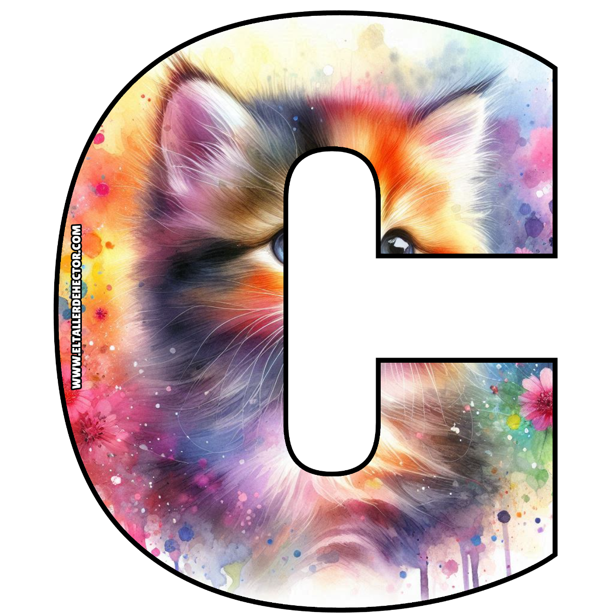 Letra C de Gato Cat - El Taller de Hector